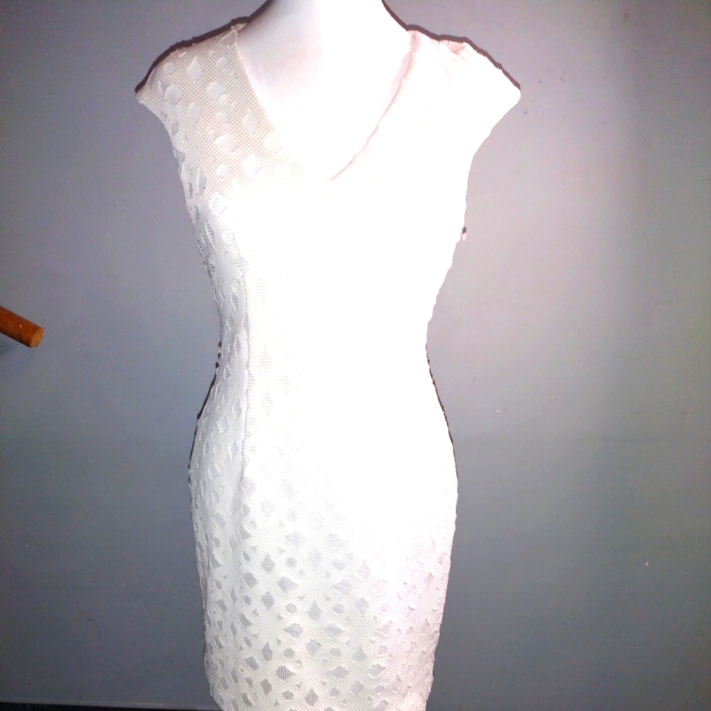 Maggy London white Embroidered overlay sleeveless dress size 4
